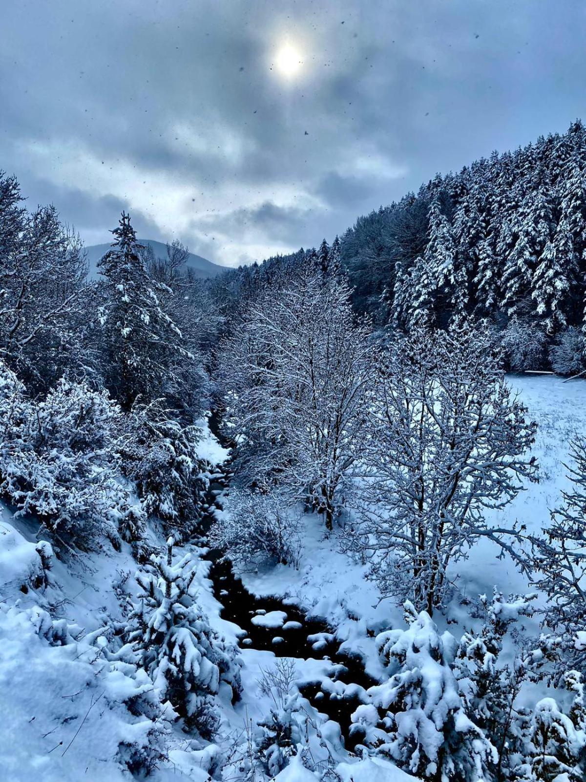 Casa Lobo - Fanlo Daire Vio Dış mekan fotoğraf